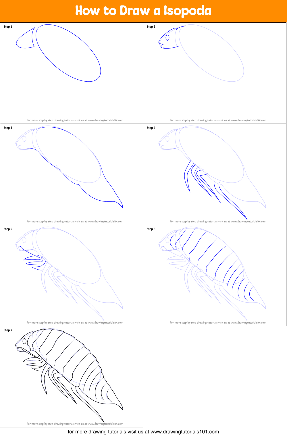 How to Draw a Isopoda Printable Step by Step