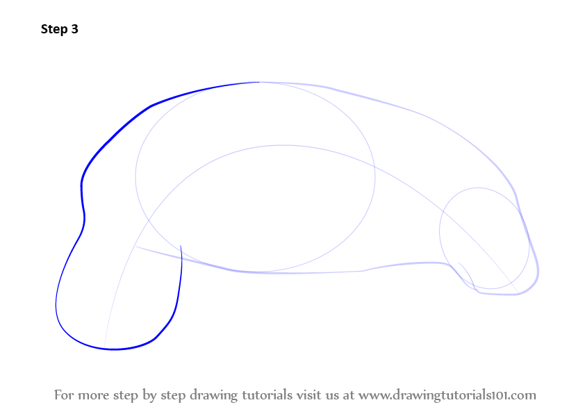 How to Draw a Manatees (Sea Water Animals) Step by Step