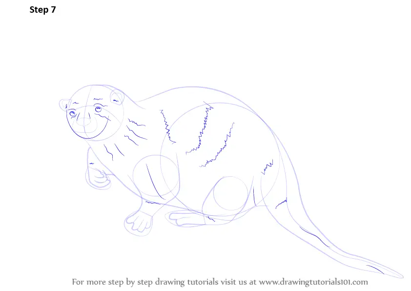 Learn How to Draw an Otter (Sea Water Animals) Step by Step : Drawing