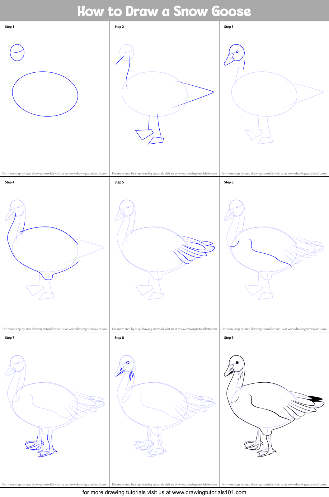 How to Draw a Snow Goose Printable Step by Step