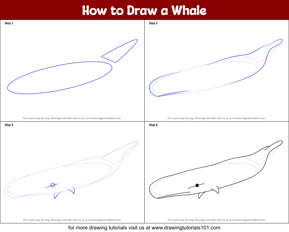 How to Draw a Whale Printable Step by Step