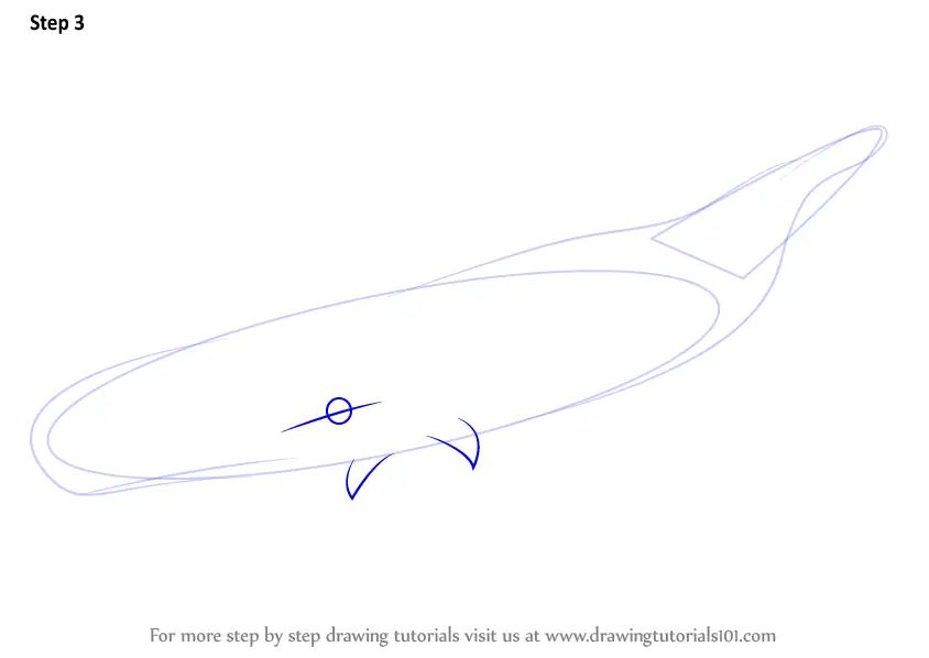 Learn How to Draw a Whale (Sea Water Animals) Step by Step : Drawing