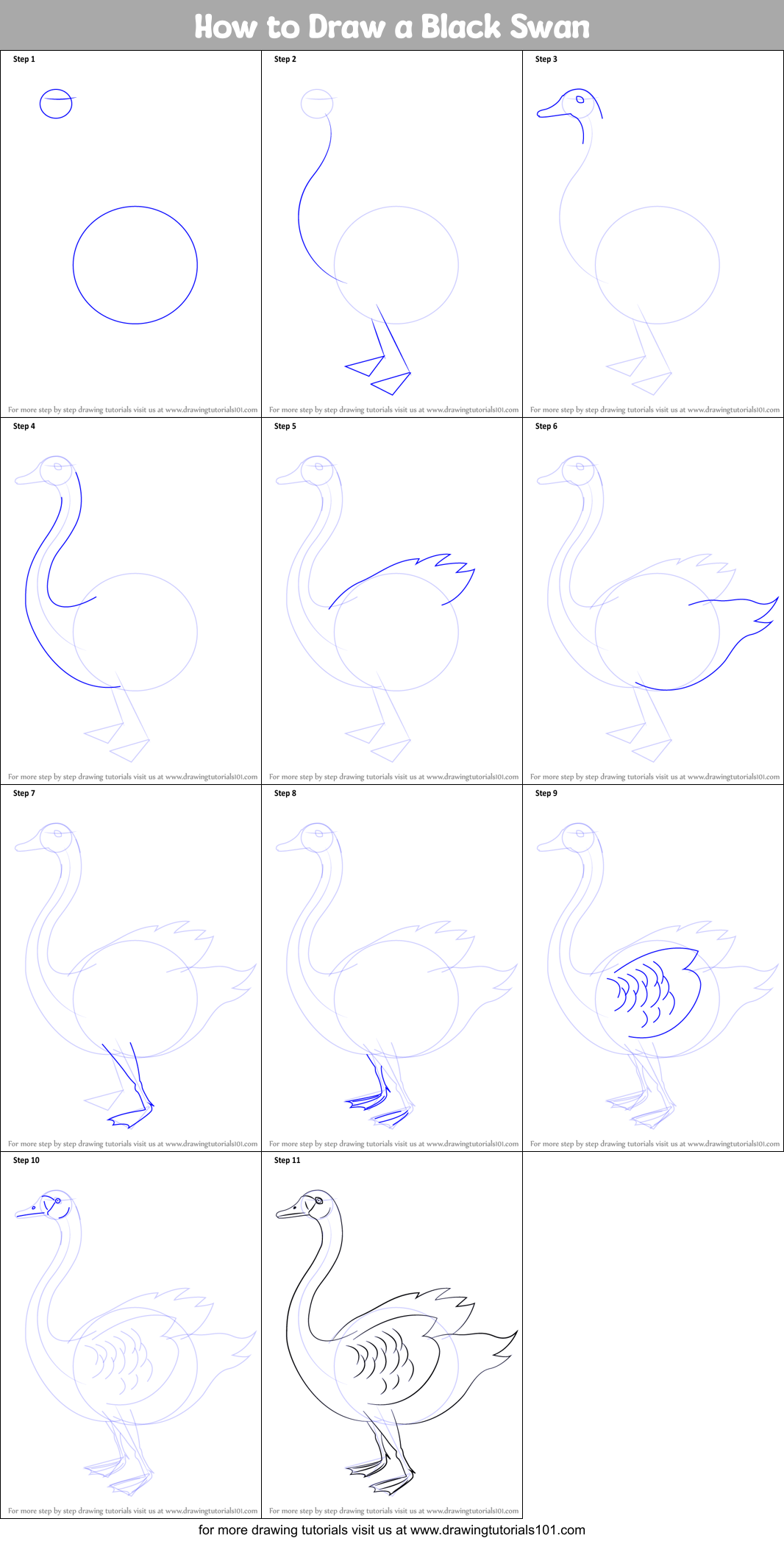 How to Draw a Black Swan Printable Step by Step