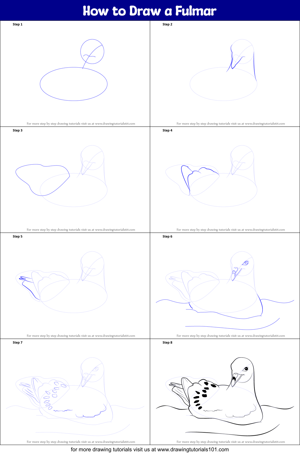 How to Draw a Fulmar Printable Step by Step