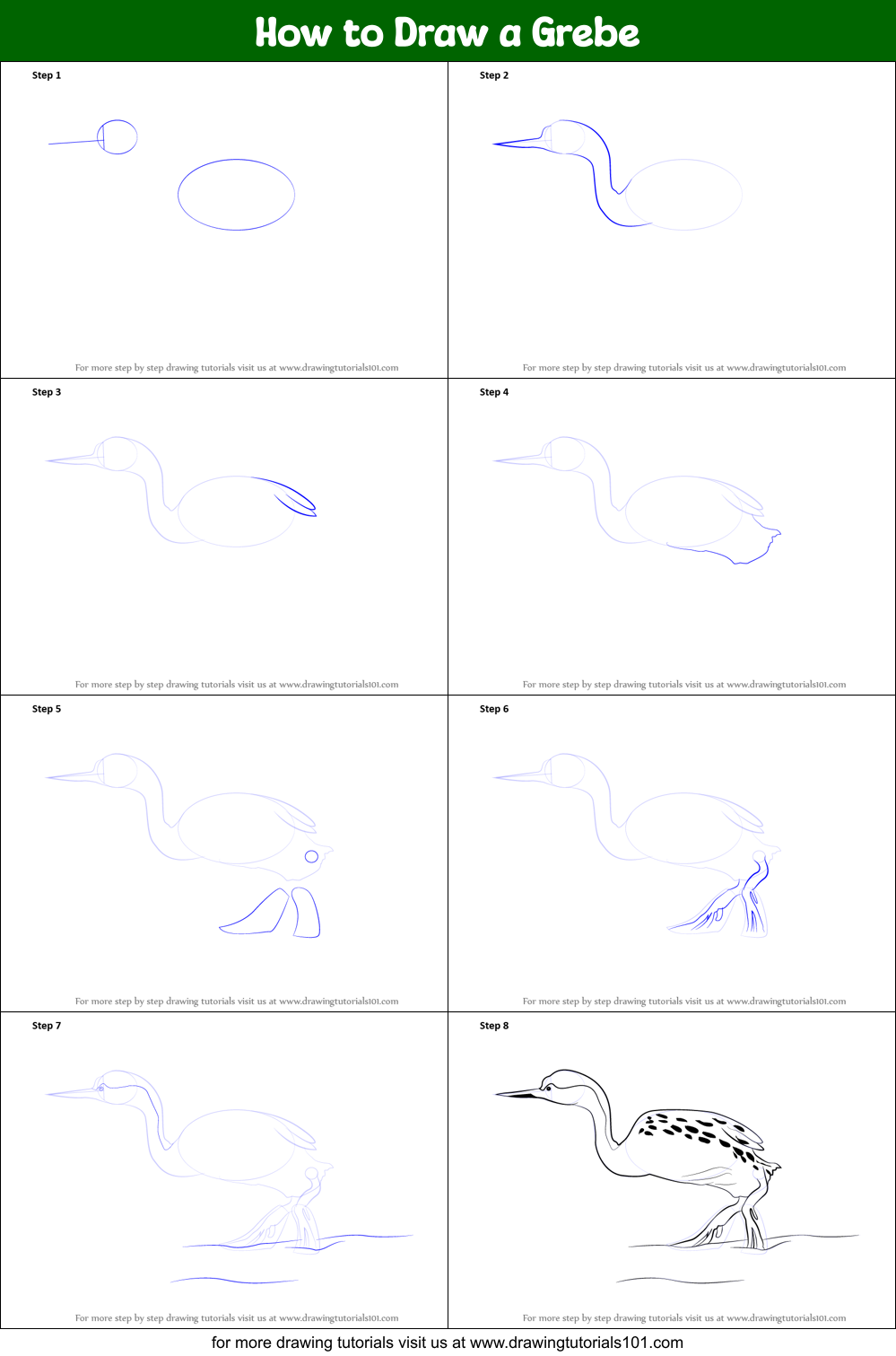 How to Draw a Grebe Printable Step by Step