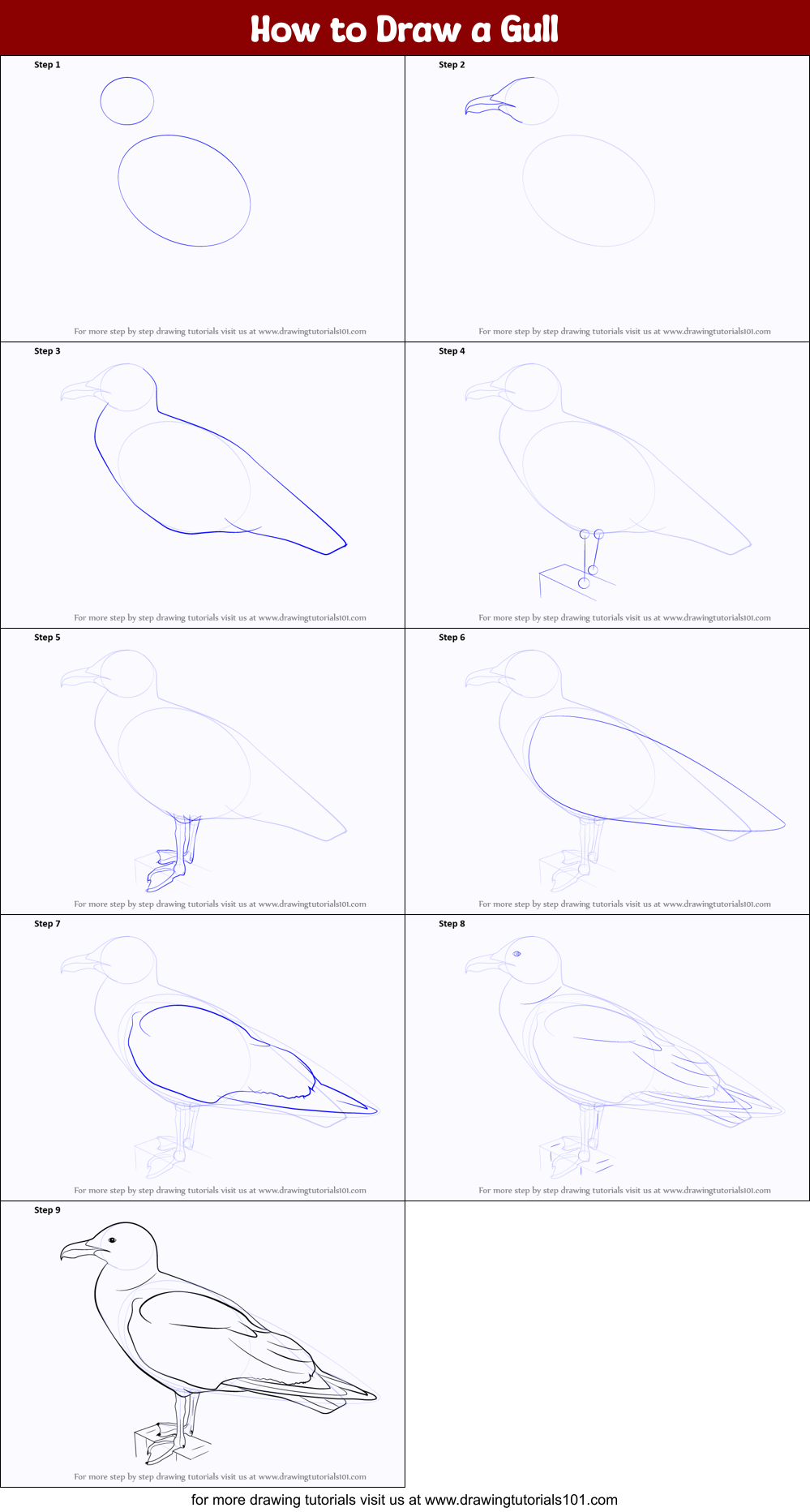 How to Draw a Gull Printable Step by Step