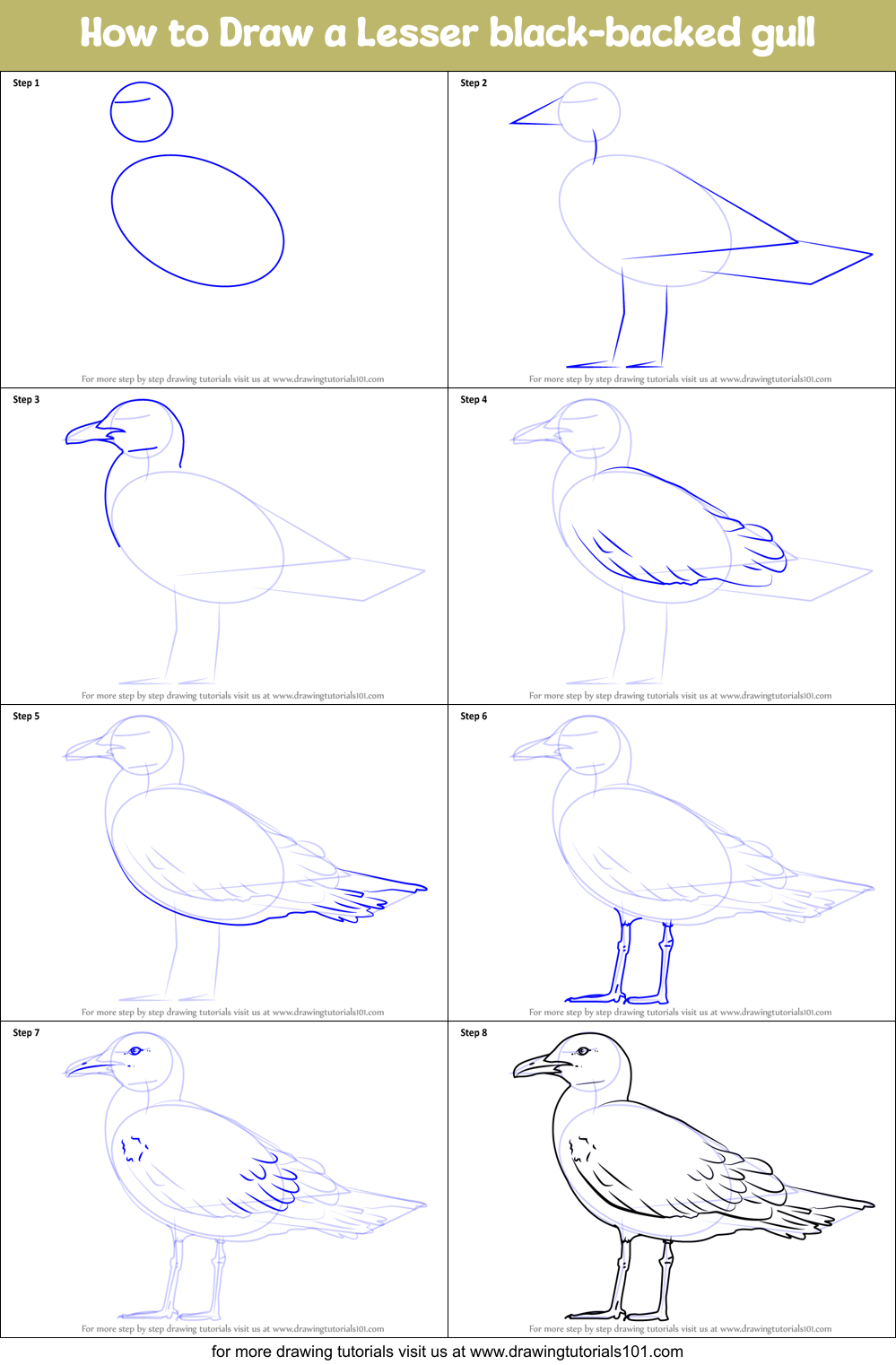 How to Draw a Lesser black-backed gull Printable Step by Step