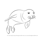 How to Draw a Hawaiian Monk Seal