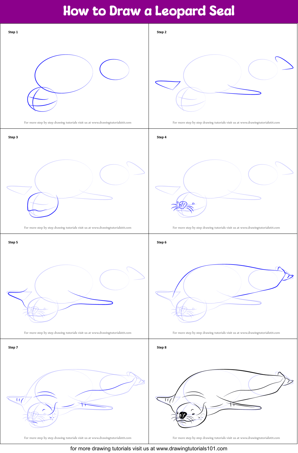How to Draw a Leopard Seal Printable Step by Step