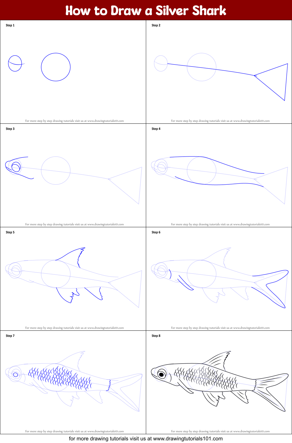 How to Draw a Silver Shark Printable Step by Step