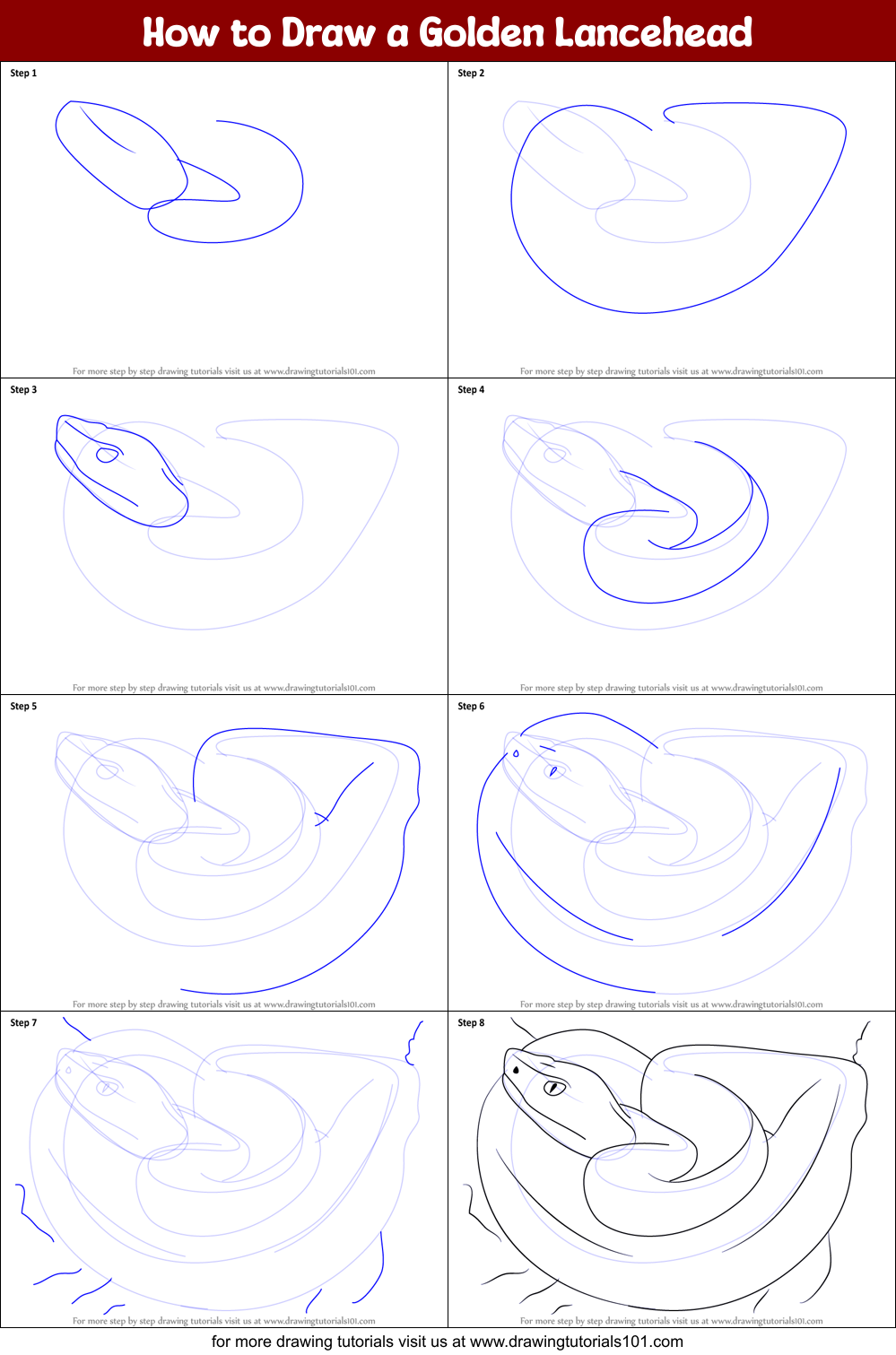 How to Draw a Golden Lancehead Printable Step by Step