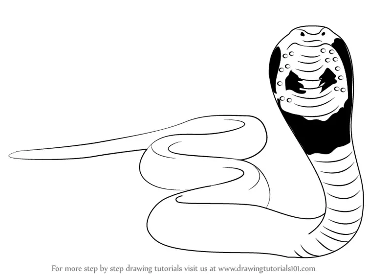 Cartoon Snake Drawing Pic - Drawing Skill