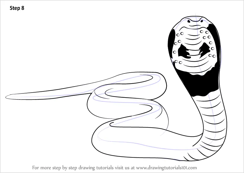 How to draw a snake  Drawing dynamic snakes easy 2022