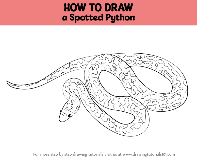 How to Draw a Spotted Python (Snakes) Step by Step ...