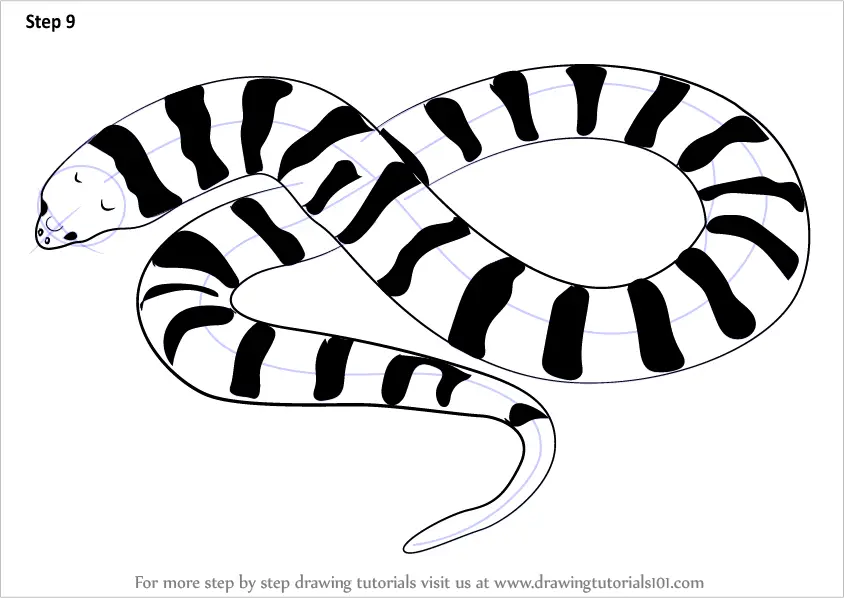 how to draw a snake for kids  how to draw  findpeacom