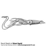 How to Draw a Giant Squid