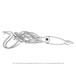 How to Draw a Giant Squid