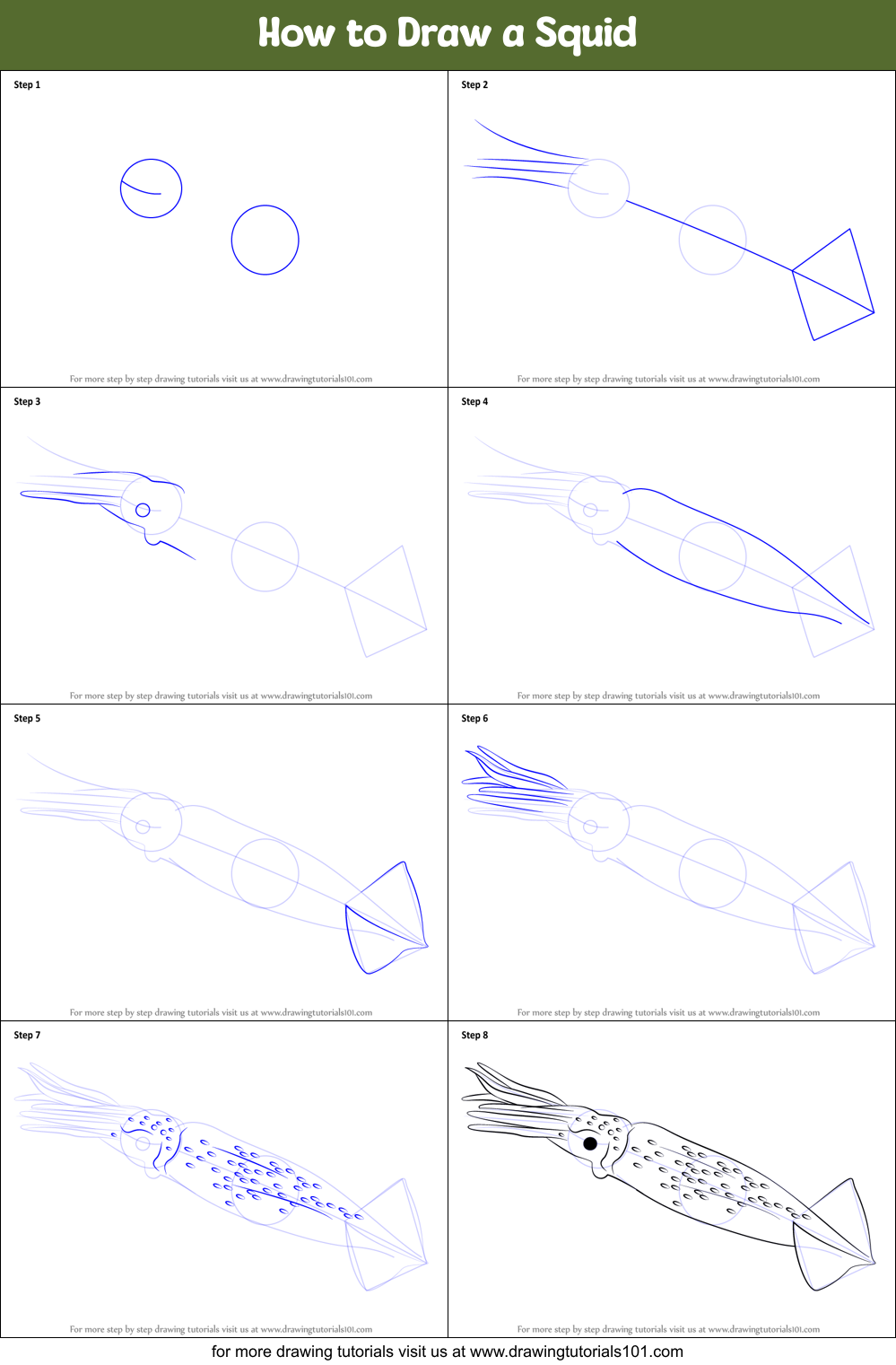 How to Draw a Squid Printable Step by Step