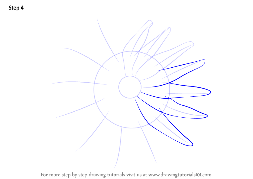 Learn How to Draw a Crown Of Thorns Starfish (Starfishes) Step by Step