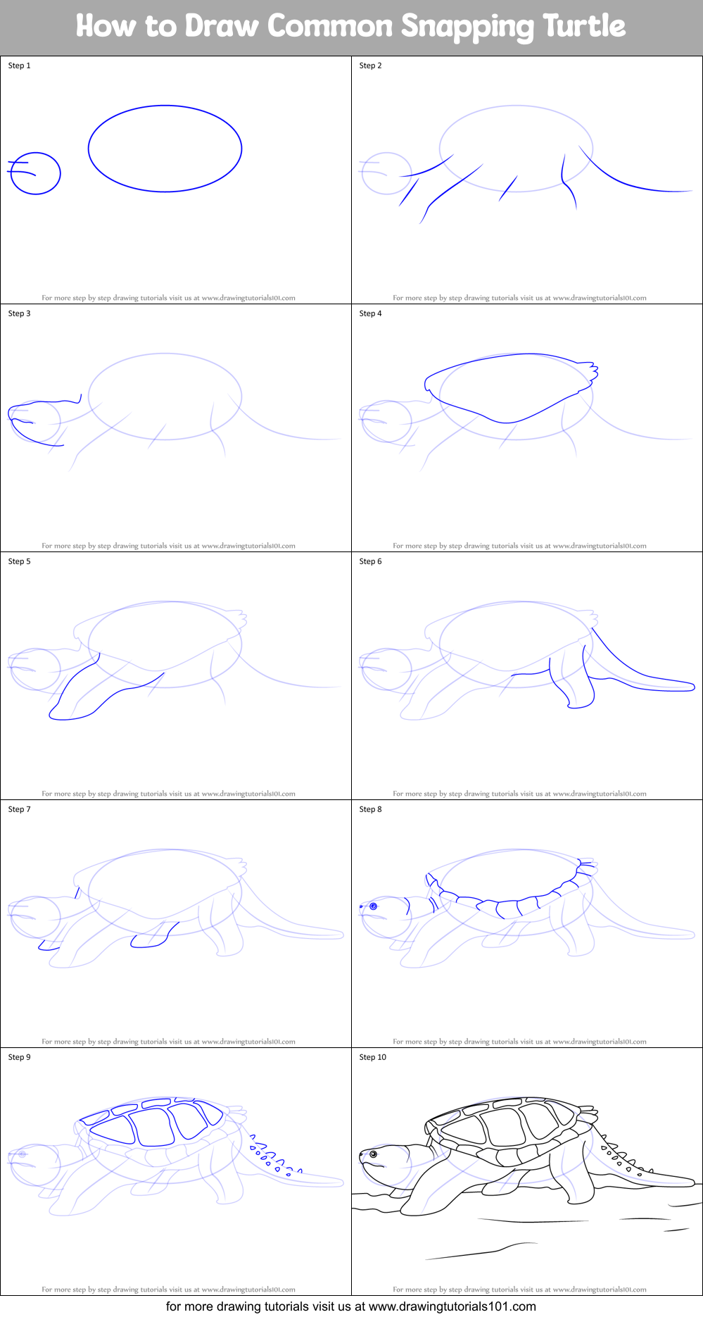 How to Draw Common Snapping Turtle Printable Step by Step