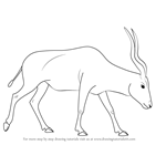 How to Draw an Addax