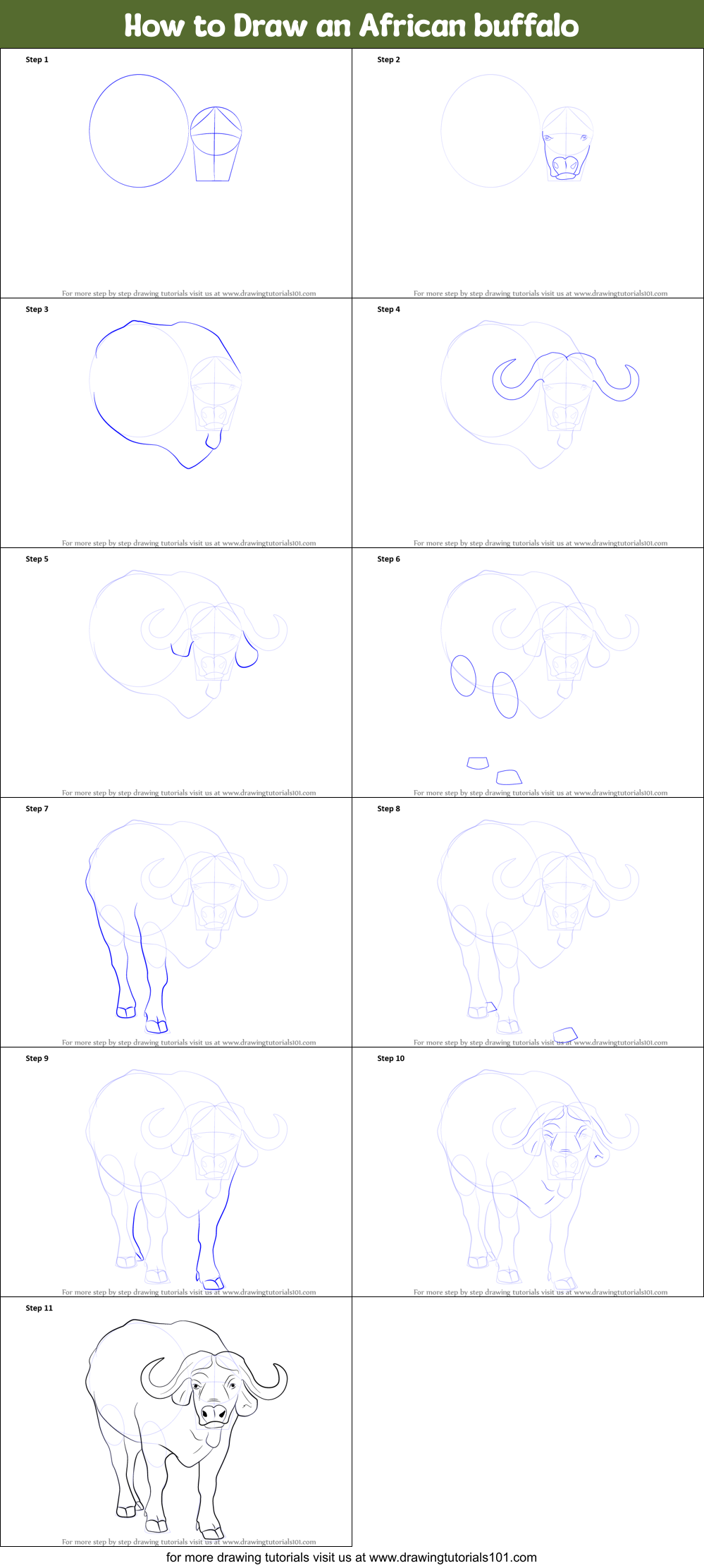 How to Draw an African buffalo Printable Step by Step