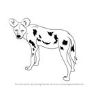 How to Draw a African Wild Dog
