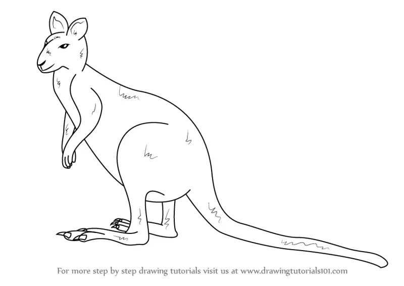 wallaby coloring pages - photo #24