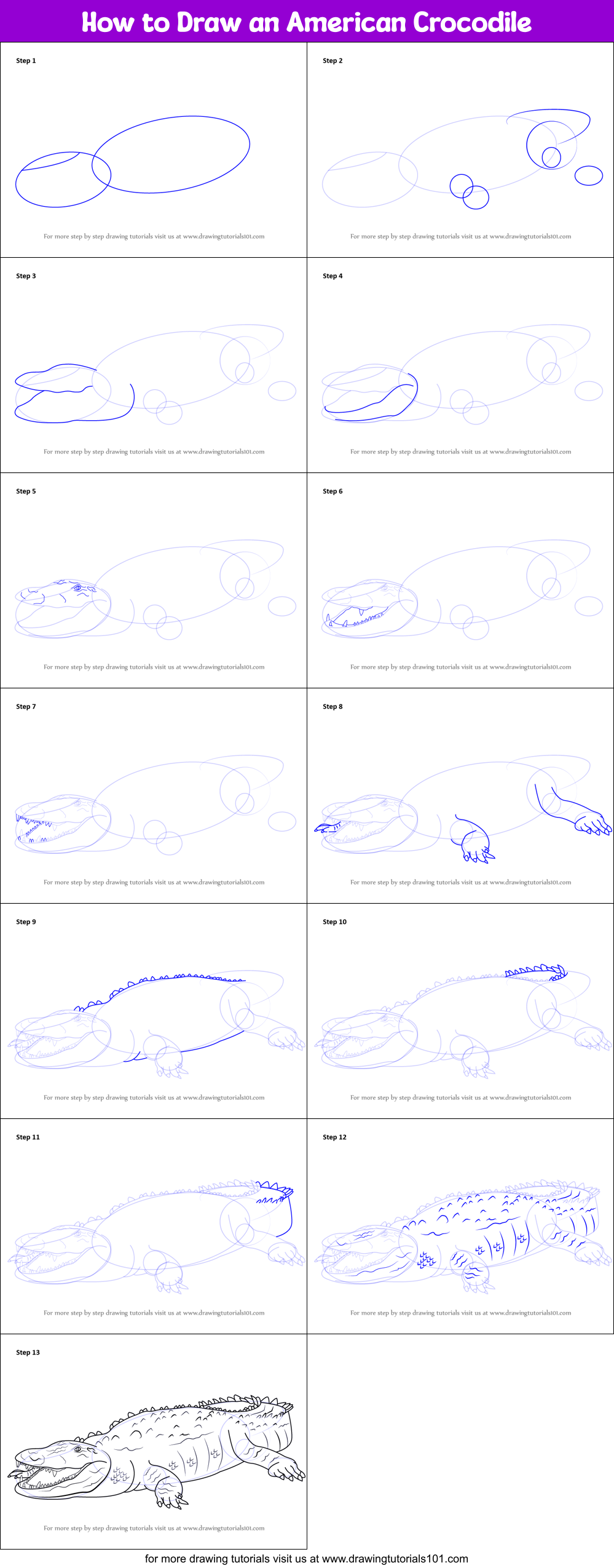 How to Draw an American Crocodile Printable Step by Step