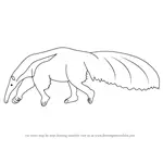 How to Draw a Anteater