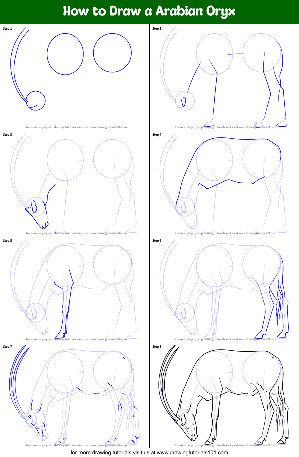 How to Draw a Arabian Oryx Printable Step by Step