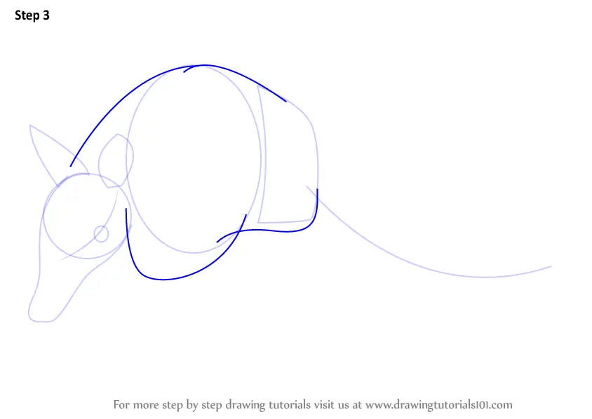 Step by Step How to Draw a Armadillo : DrawingTutorials101.com
