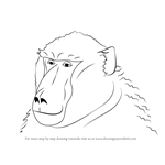How to Draw a Baboon Face