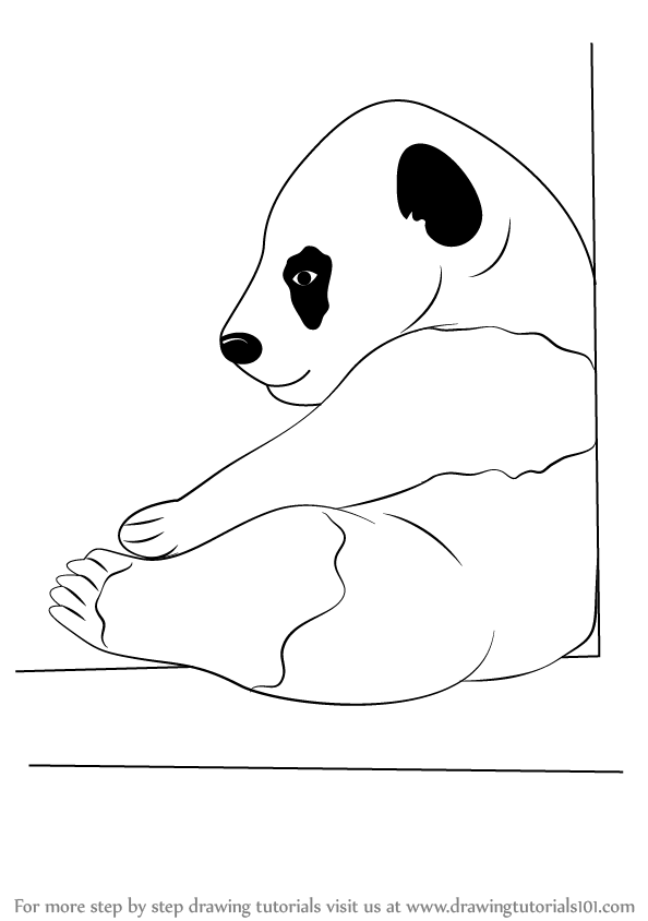 Learn How to Draw a Baby Panda (Wild Animals) Step by Step : Drawing