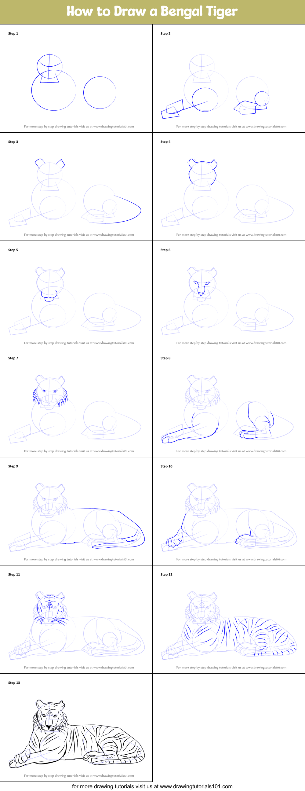 How to Draw a Bengal Tiger Printable Step by Step