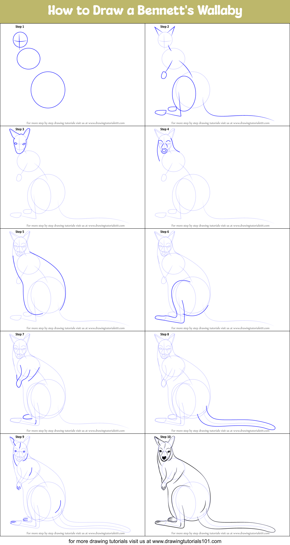 How to Draw a Bennett's Wallaby Printable Step by Step