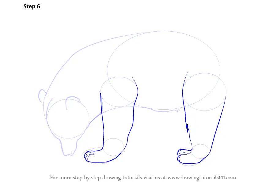 How to Draw a Black Bear (Wild Animals) Step by Step ...