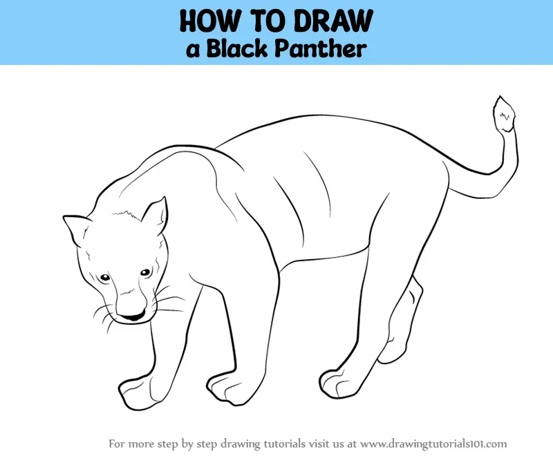 Forest Wild Animal Best Blog Line Drawings Of Wild - Easy Wild Animals To  Draw - 400x450 PNG Download - PNGkit