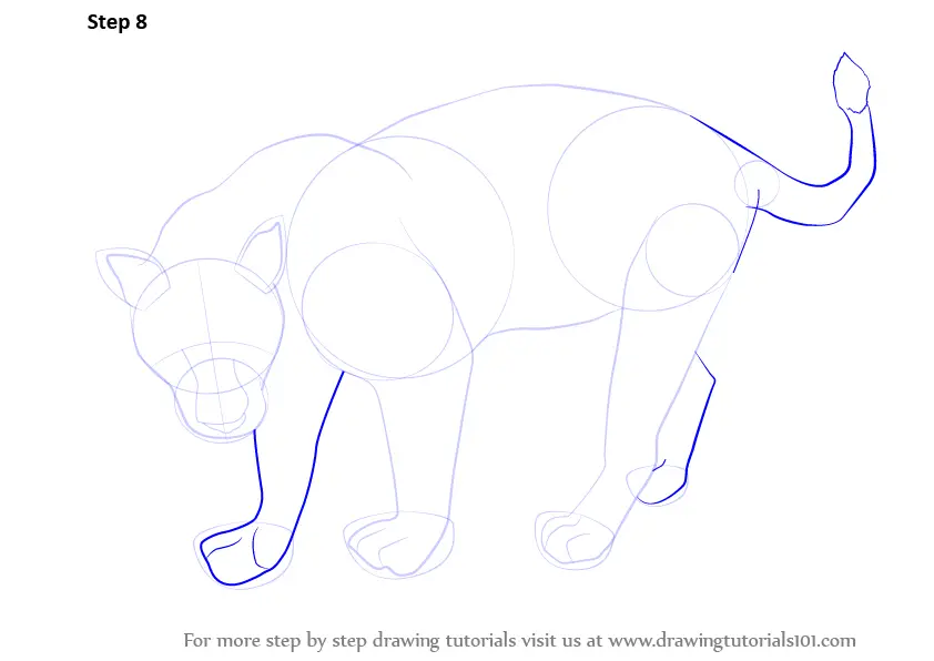 Learn How to Draw a Black Panther (Wild Animals) Step by Step : Drawing  Tutorials