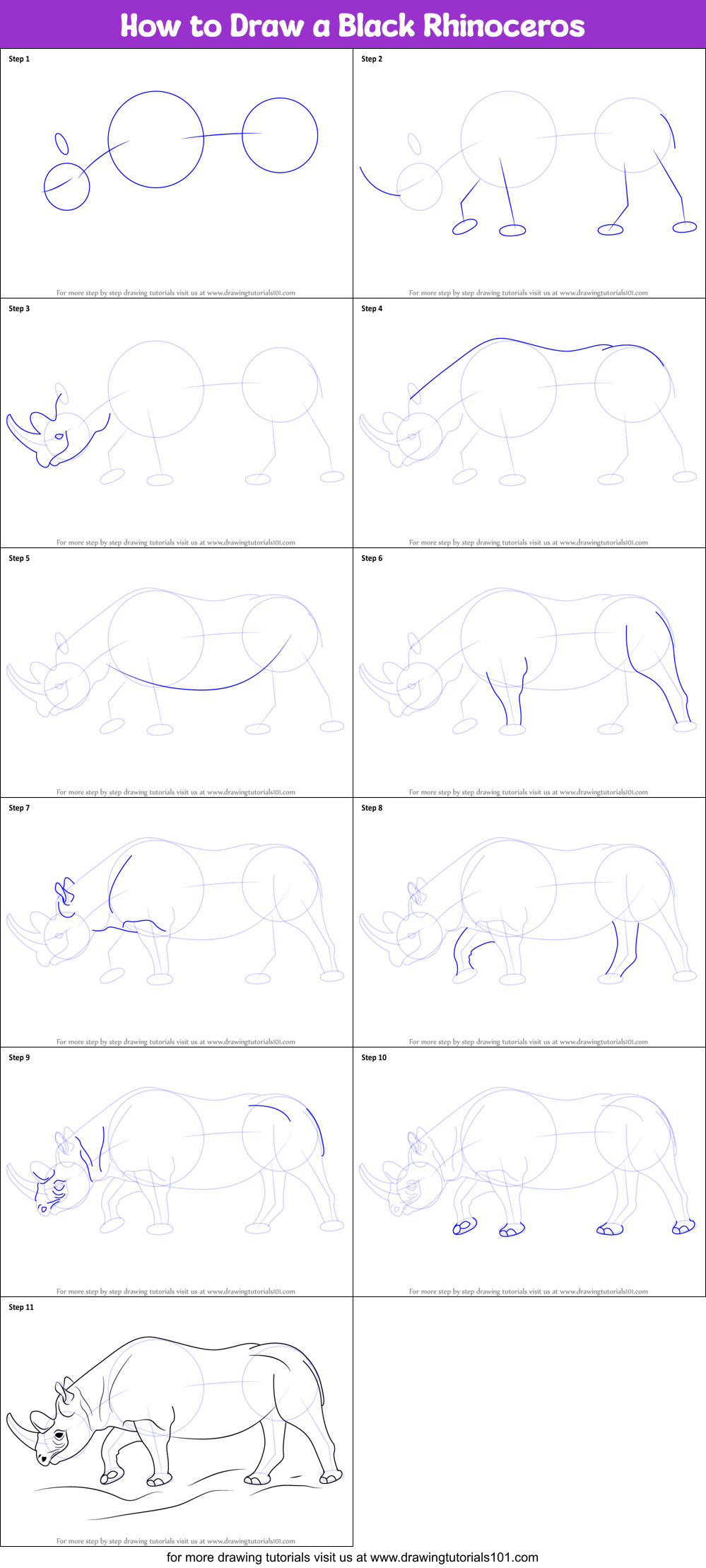 How to Draw a Black Rhinoceros Printable Step by Step