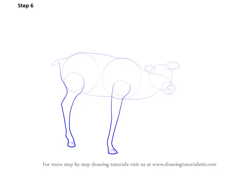 How to Draw a Blackbuck
