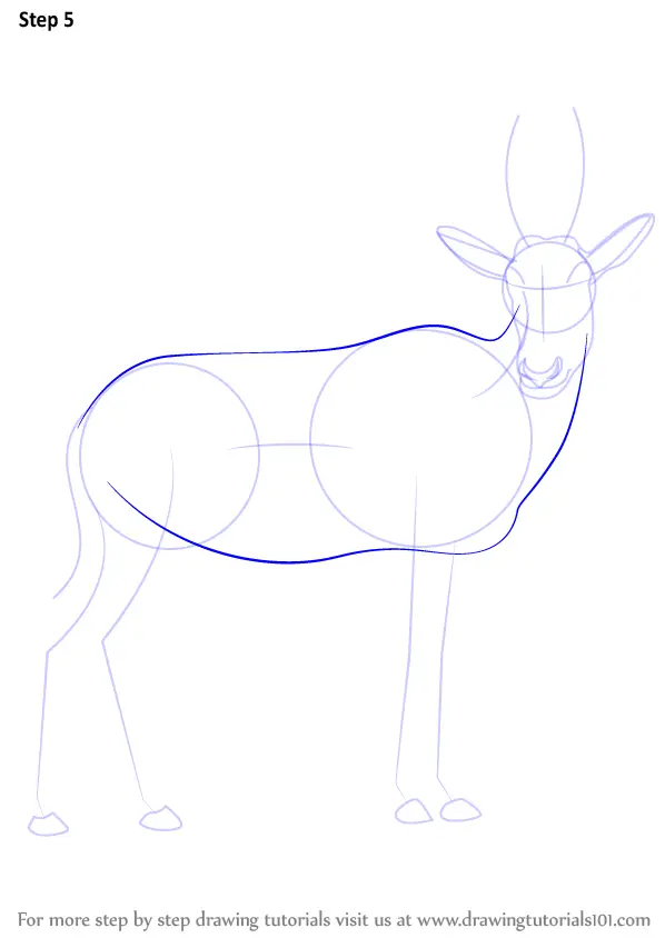 Download Step by Step How to Draw a Blesbok : DrawingTutorials101.com