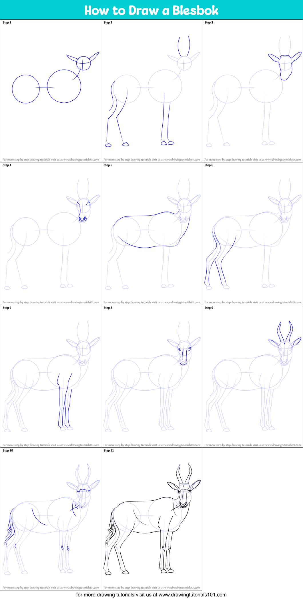 How to Draw a Blesbok Printable Step by Step