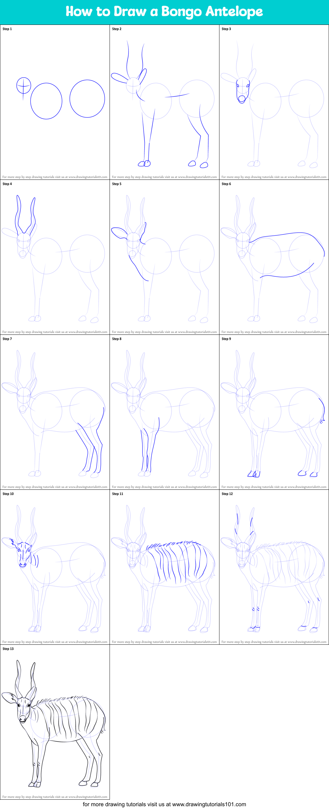 How to Draw a Bongo Antelope Printable Step by Step