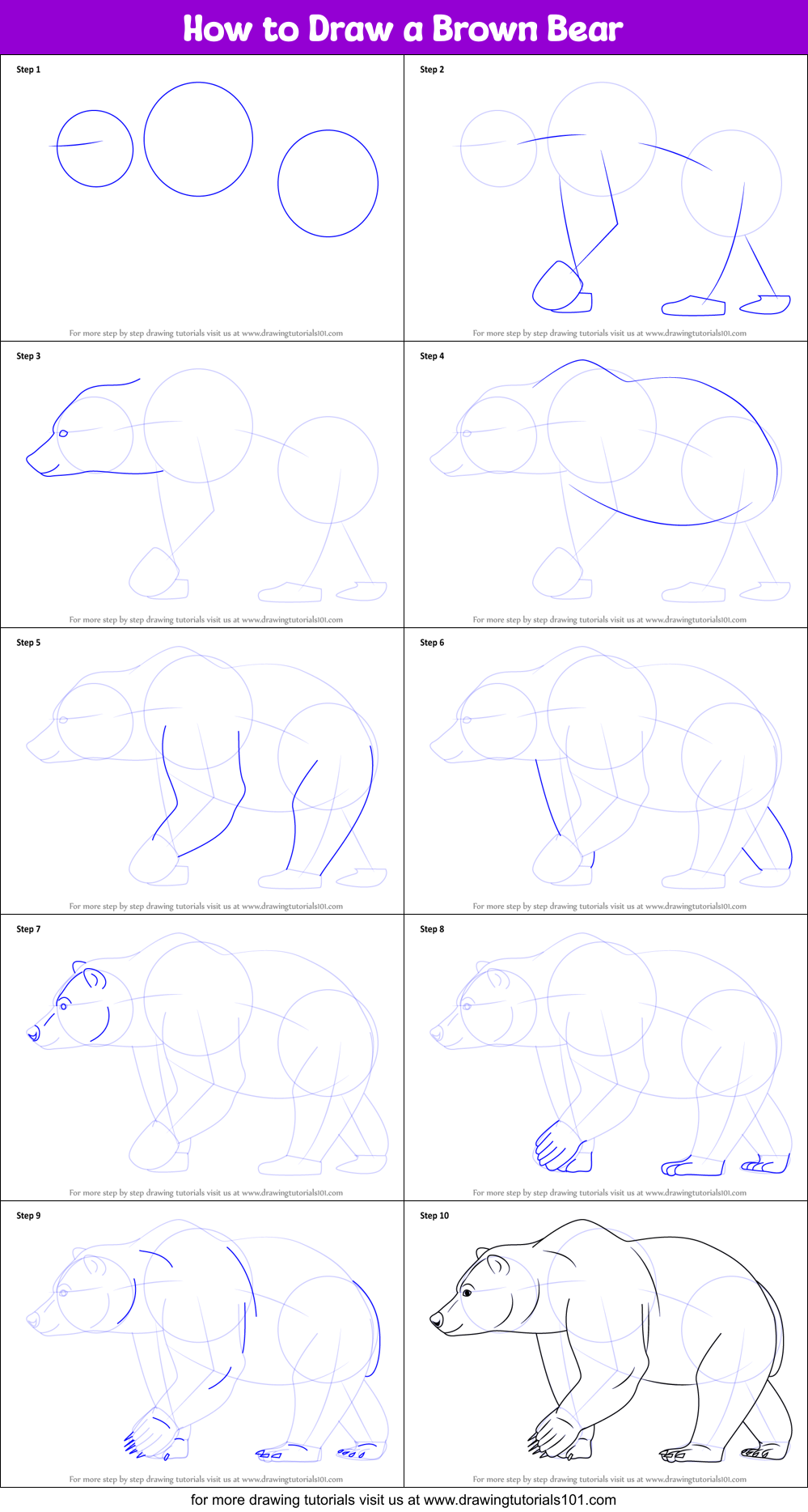 How to Draw a Brown Bear Printable Step by Step
