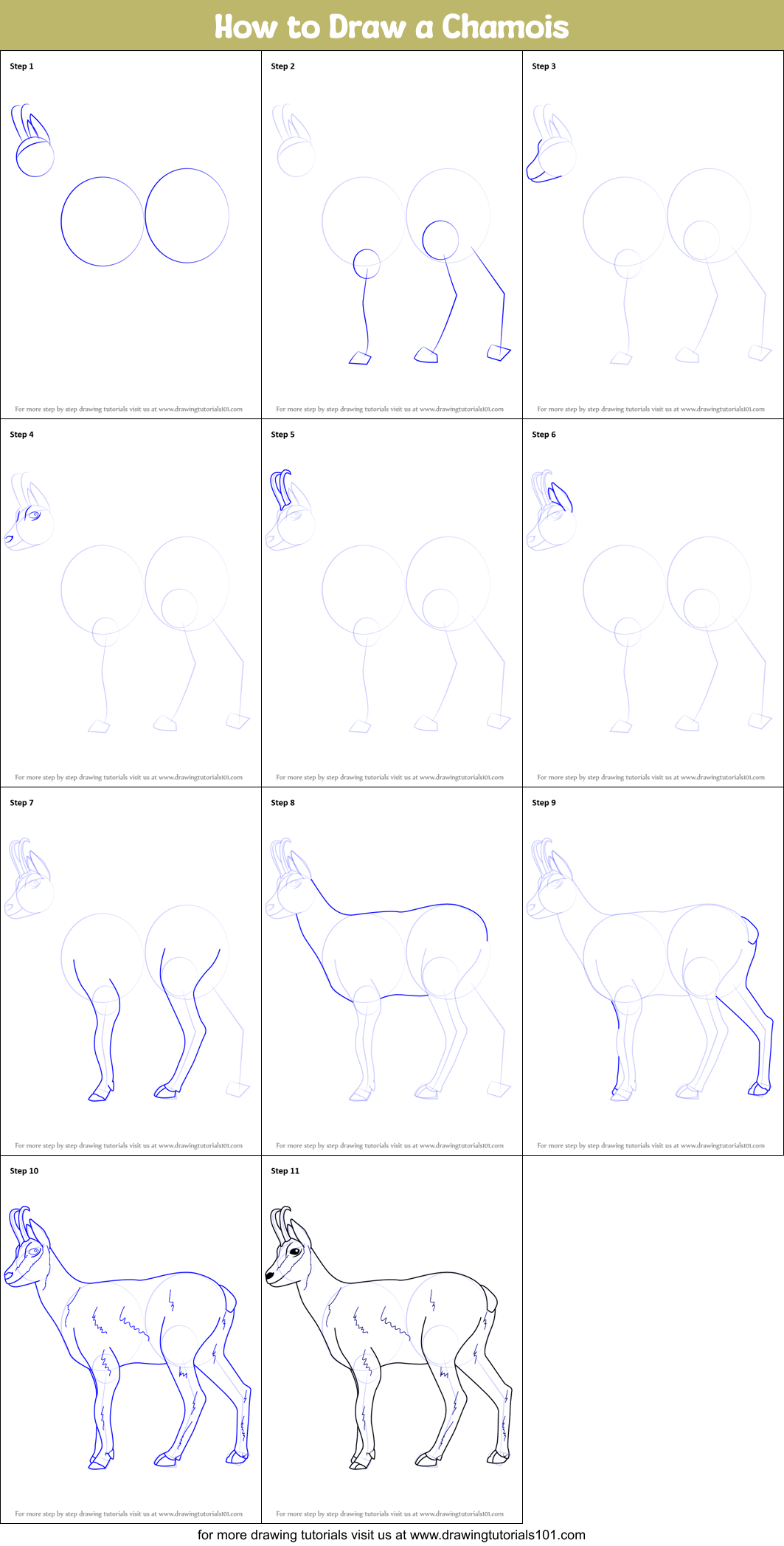How to Draw a Chamois Printable Step by Step