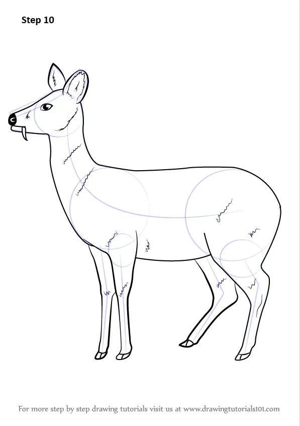 how to draw deer with pencil sketch scenery,how to draw forest scenery step  by step,animals drawing - YouTube