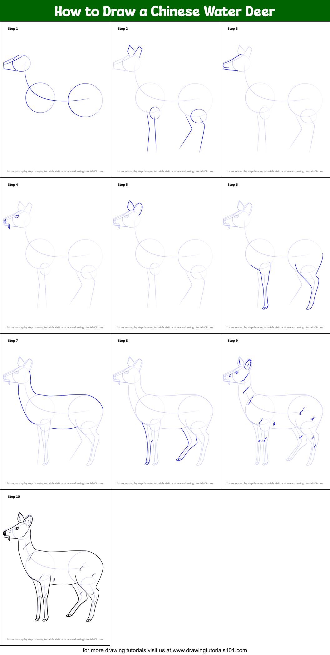 How to Draw a Chinese Water Deer Printable Step by Step