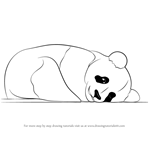 How to Draw a Cute Panda