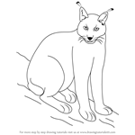 How to Draw a Eurasian Lynx